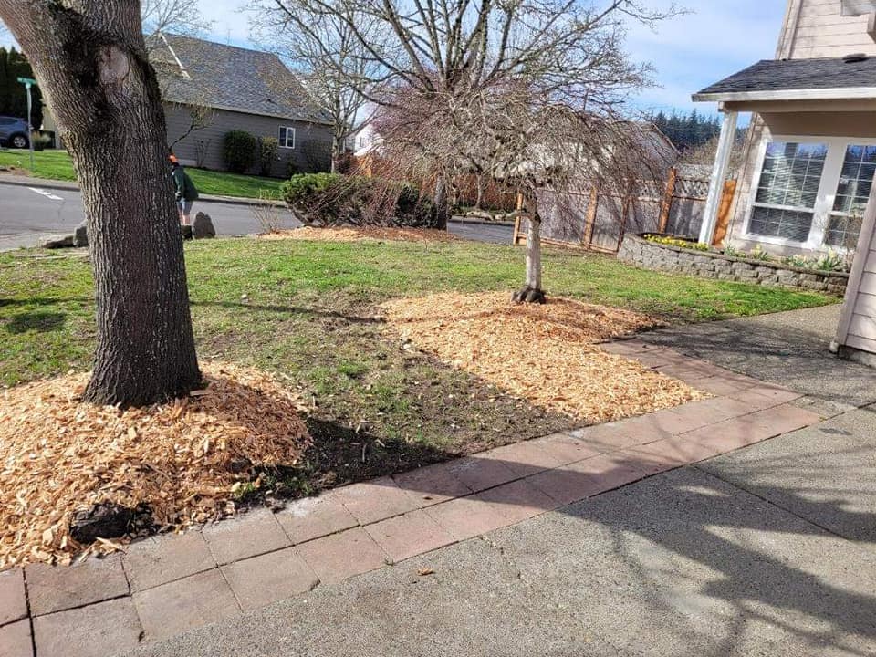 professional mulch spreading service. vnacouver wa