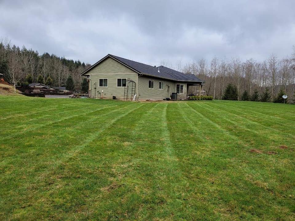 residential lawn care maintenance